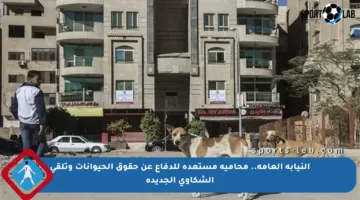 النيابة العامة.. محامية مستعدة للدفاع عن حقوق الحيوانات وتلقي الشكاوى الجديدة